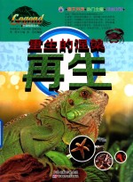 重生<em>的</em>涅盘  <em>再生</em>