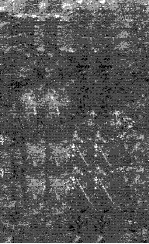COMPUTERIZATION OF INDIAN LIBRARIE<em>S</em>