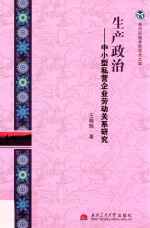 生产政治  中小型私营企业劳动关系研究