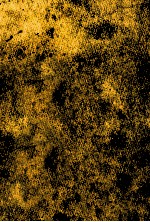 <em>江戸</em>花火