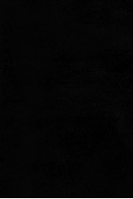 賀茂行幸のこと 1