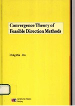 CONVERGENCE THEORY <em>OF</em> FEASIBLE DIRECTION <em>METHODS</em>