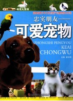 忠实朋友  可爱宠物