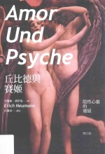 丘比德与赛姬  阴性心灵的发展  修订版