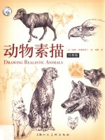 动物素描  西方经典美术技法<em>译</em>丛  经典版