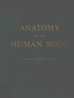 <em>ANATOMY</em> <em>OF</em> <em>THE</em> <em>HUMAN</em> <em>BODY</em>