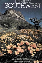 <em>The</em> Great <em>S</em>outhwe<em>s</em>t
