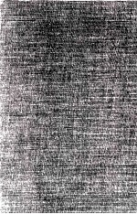 <em>The</em> Challenge of <em>The</em> Computer Utility