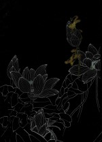 花卉参考资料  1
