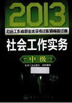 2013社会工作者职业水平考试配套模拟试卷  社会工作实务  中级