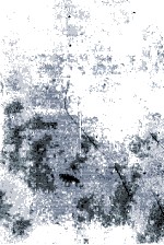 残酷にそして華麗に <em>秘密</em>捜査網