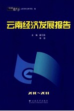 云南经济发展报告  2010-2011