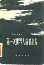 第一次世界大战的起源  下