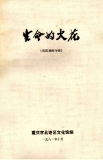 生命的火花  <em>抗洪</em><em>抢险</em>专辑