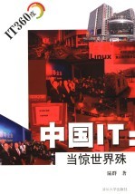 中国<em>IT</em> 当惊世界殊