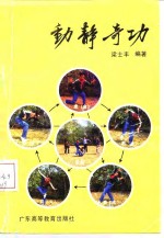 动静奇功
