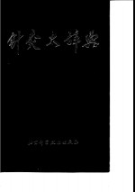 针灸大辞典