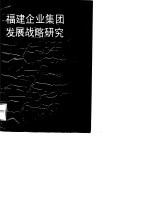 <em>福建</em>企业集团发展战略<em>研究</em>
