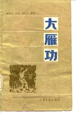 大雁功