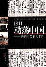 1911动荡中国  辛亥起义重大事件