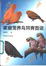 家庭笼养鸟饲育图说