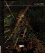 欧洲的<em>荒原</em>