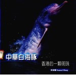 中华白海豚  香港的一颗明珠