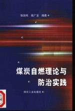 煤炭自燃理论与防治实践