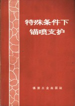 特殊<em>条件</em>下锚喷支护