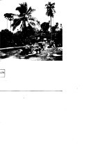 金太阳照亮了西双<em>版纳</em>
