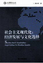 社会主义现代化  经济发展与文化选择