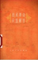 <em>技术</em><em>革命</em>问题解答