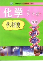 化学学习指要  人教版  九年级  下