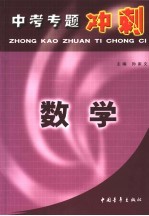 中考专题冲刺  数学