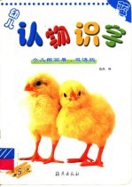 幼儿认物识字  蓝