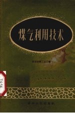 煤气利用<em>技术</em>