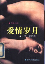爱情岁月  长篇小说