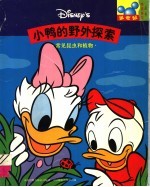 <em>小鸭</em>的野外探索  常见昆虫和植物