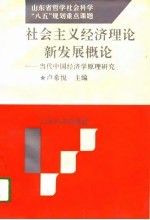 社会主义经济<em>理论</em>新发展<em>概论</em>  当代中国经济学原理研究