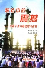 转轨中的震撼  中国下岗问题追踪与探索