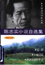 <em>陈<em>忠实</em></em>小说自选集  短篇小说卷