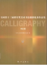 全国第十三届群星奖美术书法摄影优秀作品集  书法卷