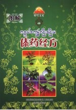 傣药<em>经方</em>
