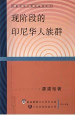 现阶段的印尼华人<em>族群</em>