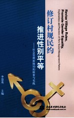 修订村规民约  推进性别平等  社会管理新格局的探索与实践