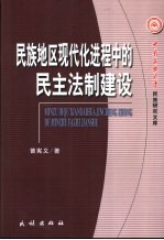 <em>民族</em>地区现代化进程中的民主法制建设