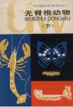 无脊椎动物  下