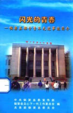 闪光的青春  铜梁县部分青年先进事迹简介