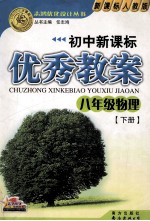 初中新课标优秀教案  八年级物理  下  新课标人教版