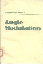 Angle modulation:<em>the</em> <em>the</em>ory <em>of</em> system assessment